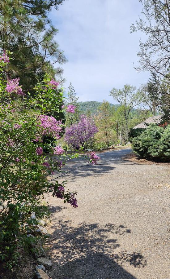 Villa Yosemite Mountain Retreat Oakhurst Esterno foto